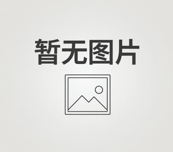 中舟环保入选武汉东湖新技术开发区2012年度新三板重点后备企业